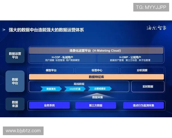 西安排球队的排球战术运营体系解析与实战应用探讨